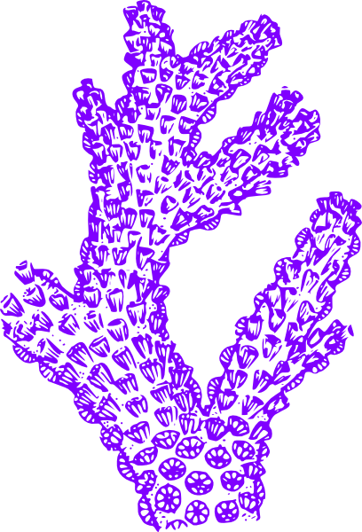 Purple Coral Clip Art - Coral Clip Art (408x600), Png Download