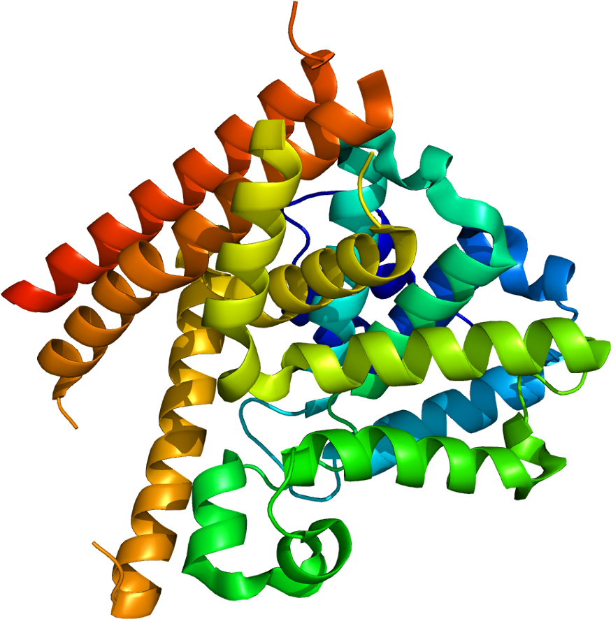 Protein Pde1b Pdb 1taz - Fosfodiesterasa 7 (923x935), Png Download