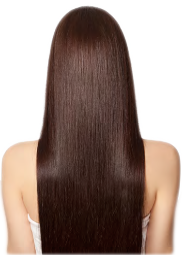 Vegabead® & Kerabead® - Lace Wig (376x526), Png Download