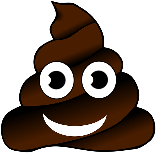 Healthy Poop - Shit Emoji (549x640), Png Download