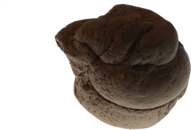 Shit - Chocolate (1000x355), Png Download