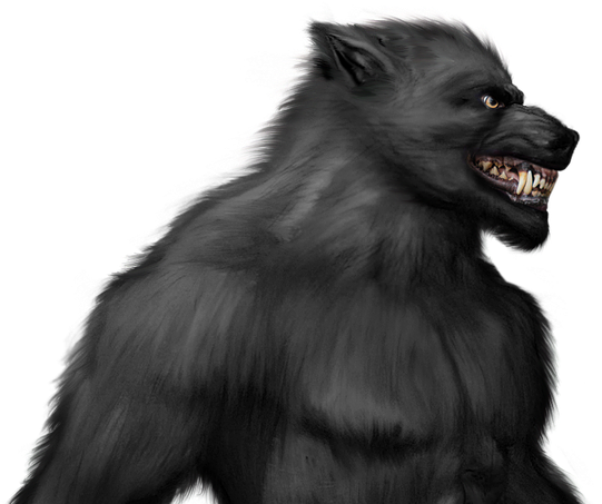 Hombre Lobo Licã¡ntropo - Werewolf Transparent (726x452), Png Download