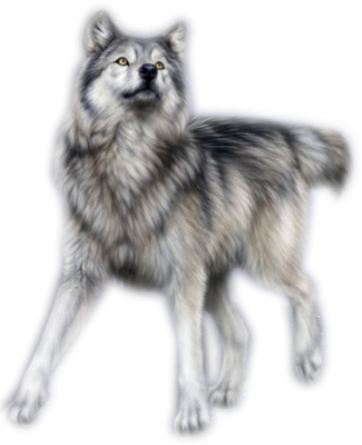 Name - Kyoch - Waterfly ' 15" 15.4" 15.6" Inch Laptop Notebook Computer (325x400), Png Download