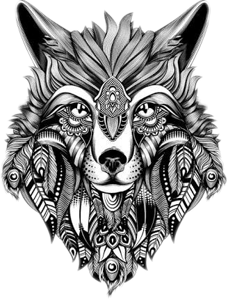 Report Abuse - Wolf Adult Colouring Ins (328x429), Png Download