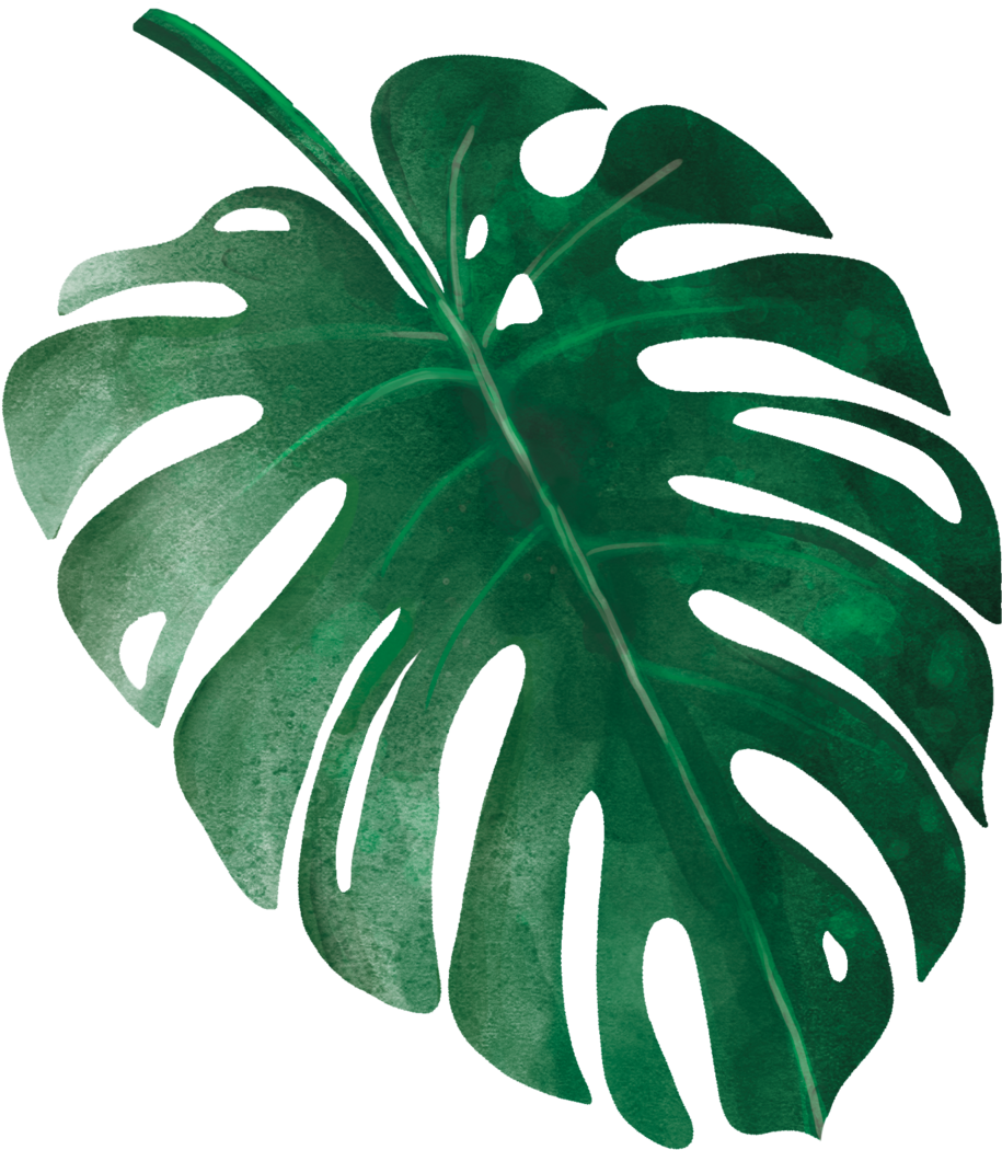 Tropical Leaves 9 (1000x1120), Png Download