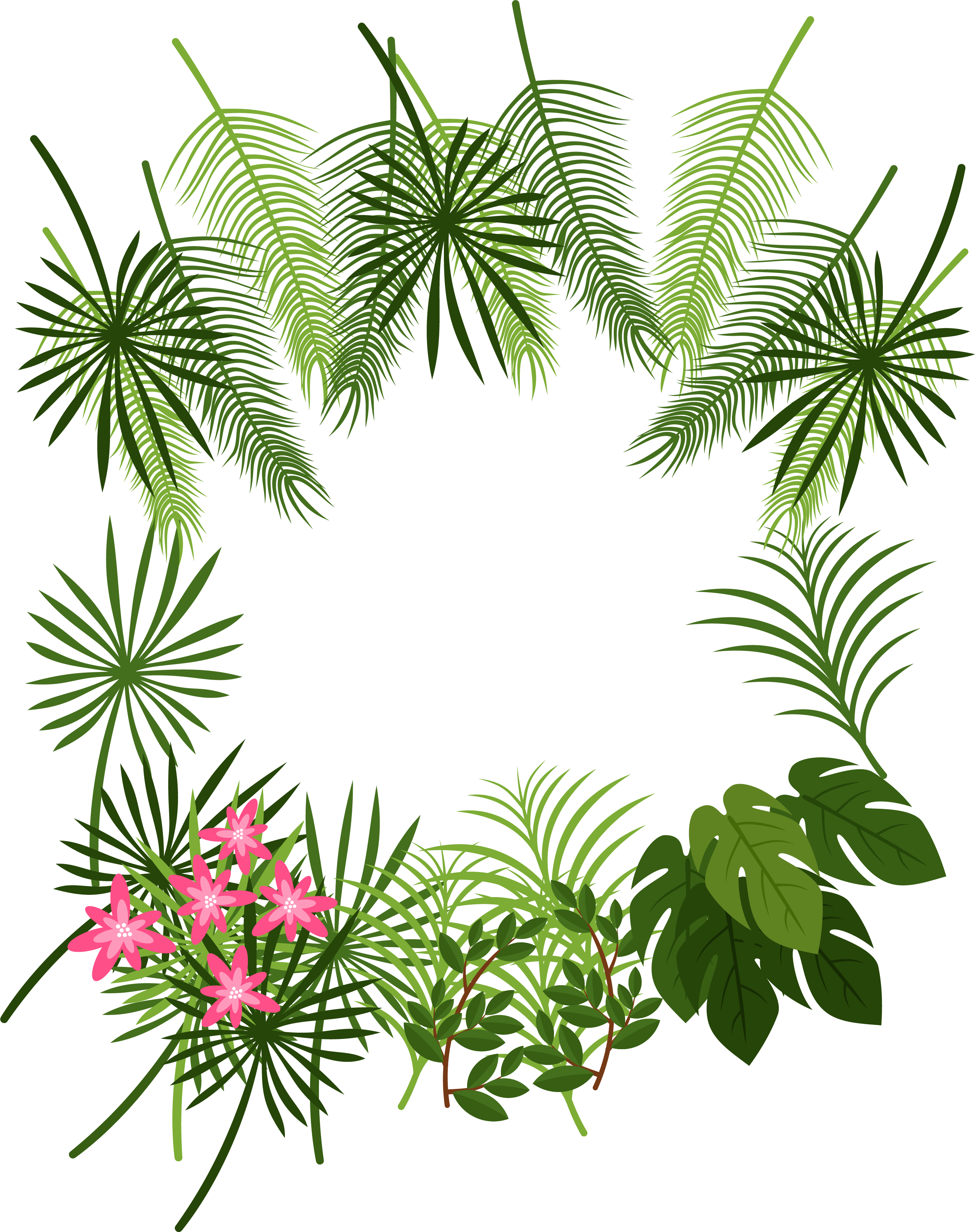 Arecaceae Leaf Tropics Plant Decoration Box Transprent - Tropical Leaves Border Png (2772x3504), Png Download