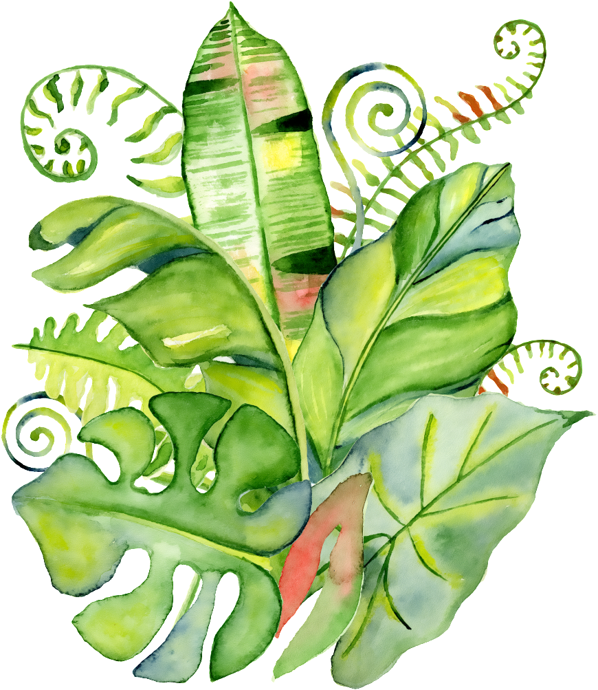 Hand Painted Realistic Tropical Leaves Png Transparent - Tropischer Blattwreath Sind Sie Meine Trauzeugin Karte (1024x1024), Png Download