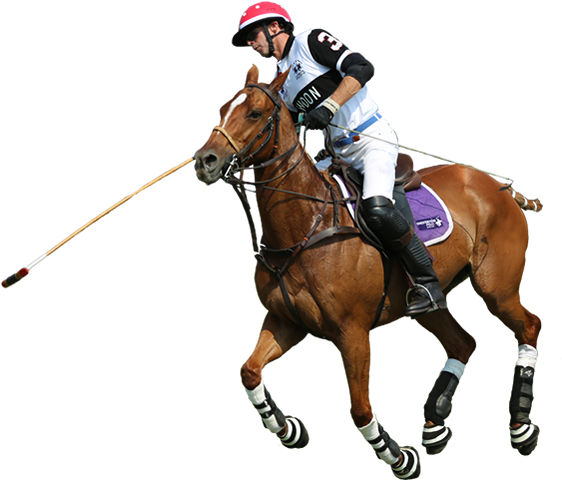 1 - Polo Sport Png (782x479), Png Download