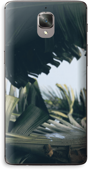 Tropical Leaves - Apple Ipad Family (412x800), Png Download