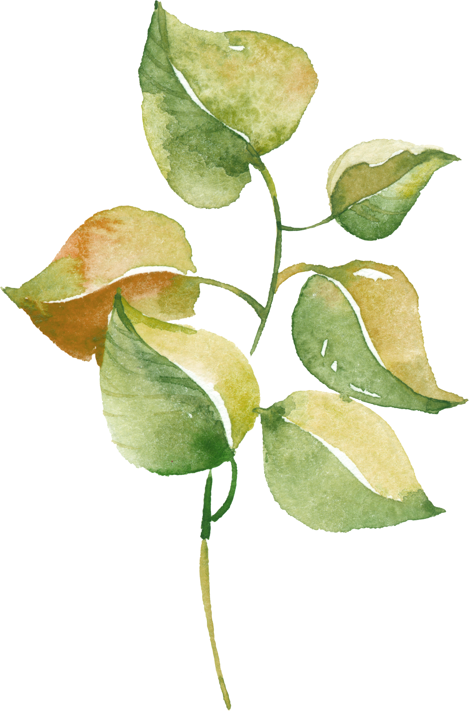 Watercolour Watercolor Pinterest - Trademark Art 'happy' By Color Bakery Textual Art On (1581x2393), Png Download