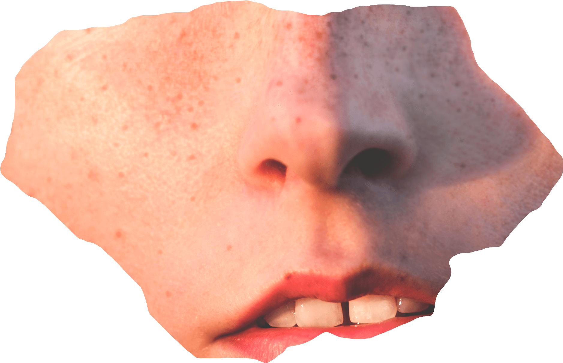 Vastaa Peruuta Vastaus - Tongue (2079x1381), Png Download