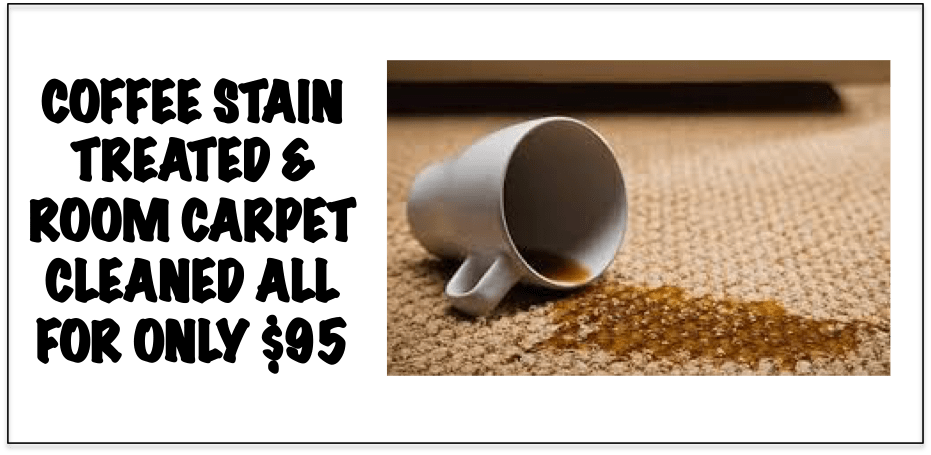View Larger Image Professional Carpet Cleaning - Carpet Cleaning (800x391), Png Download