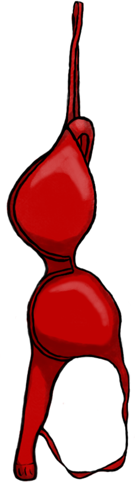 Bra Png Image - Bra Clipart Png (495x1610), Png Download