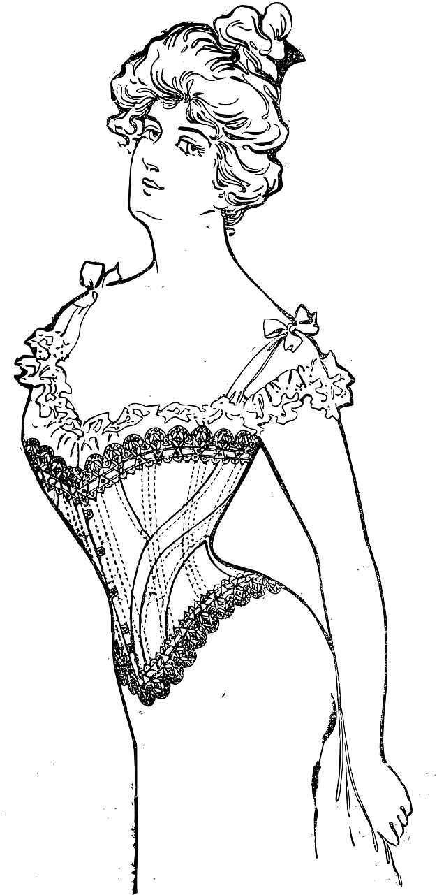 Tight Bra Model - Vector Corset (387x800), Png Download