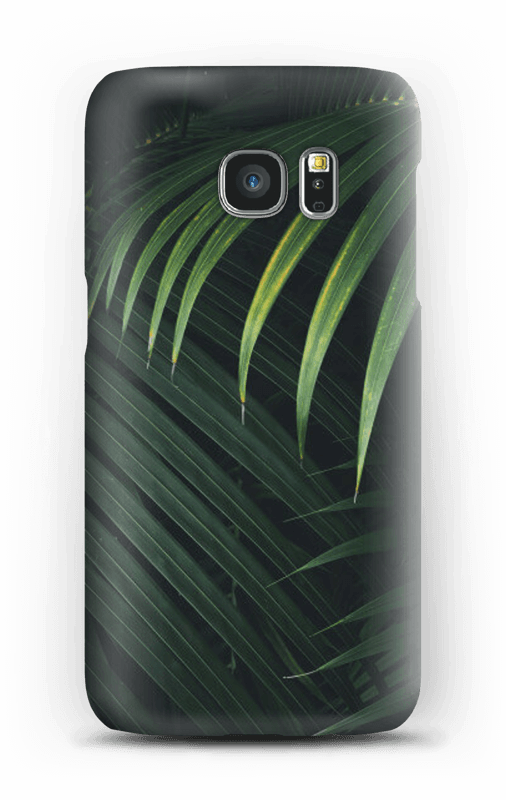 Palm Leaf Design - Iphone (506x800), Png Download