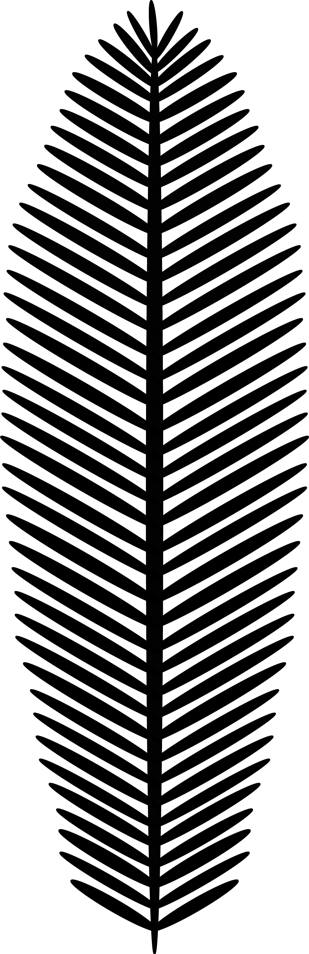 Palm Leaf 1 - Palm Leaf Png Black (1007x3105), Png Download