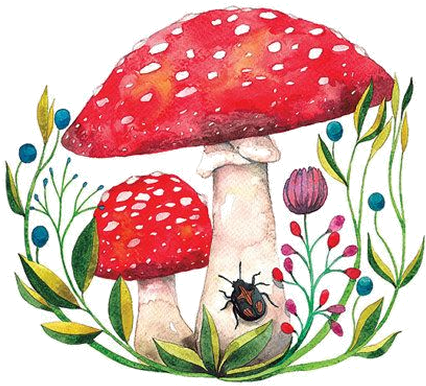 ○••°‿✿⁀shrooms‿✿⁀°••○ - Drawing The Red Mushroom (595x469), Png Download