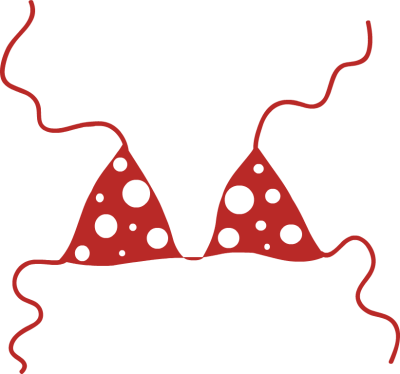 Bra Clip Art - String Bikini Clipart (400x374), Png Download