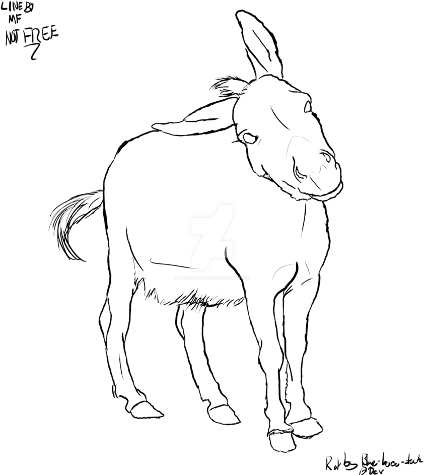 Line At Getdrawings Com Banner Free Stock - Donkey Lineart Png (848x942), Png Download