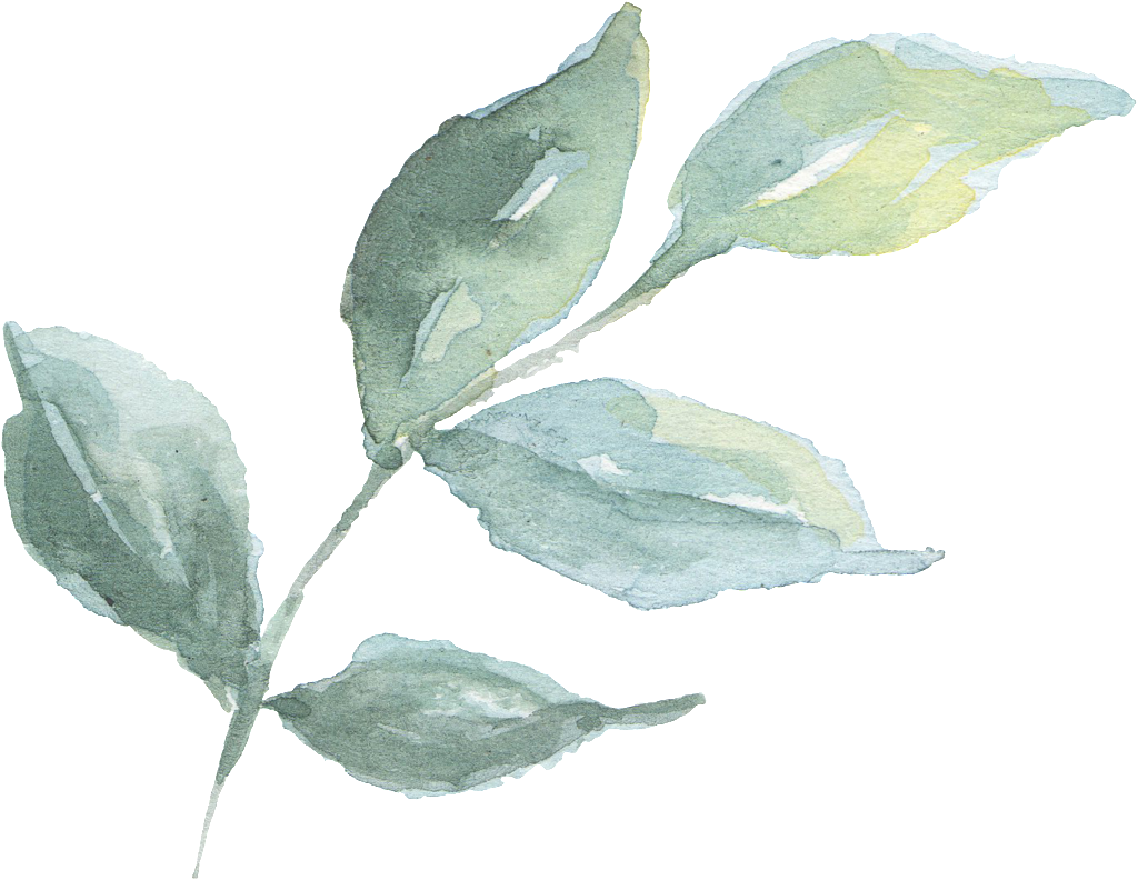 Hand Painted A Branch Of Green Branches Watercolor - Green (1024x792), Png Download