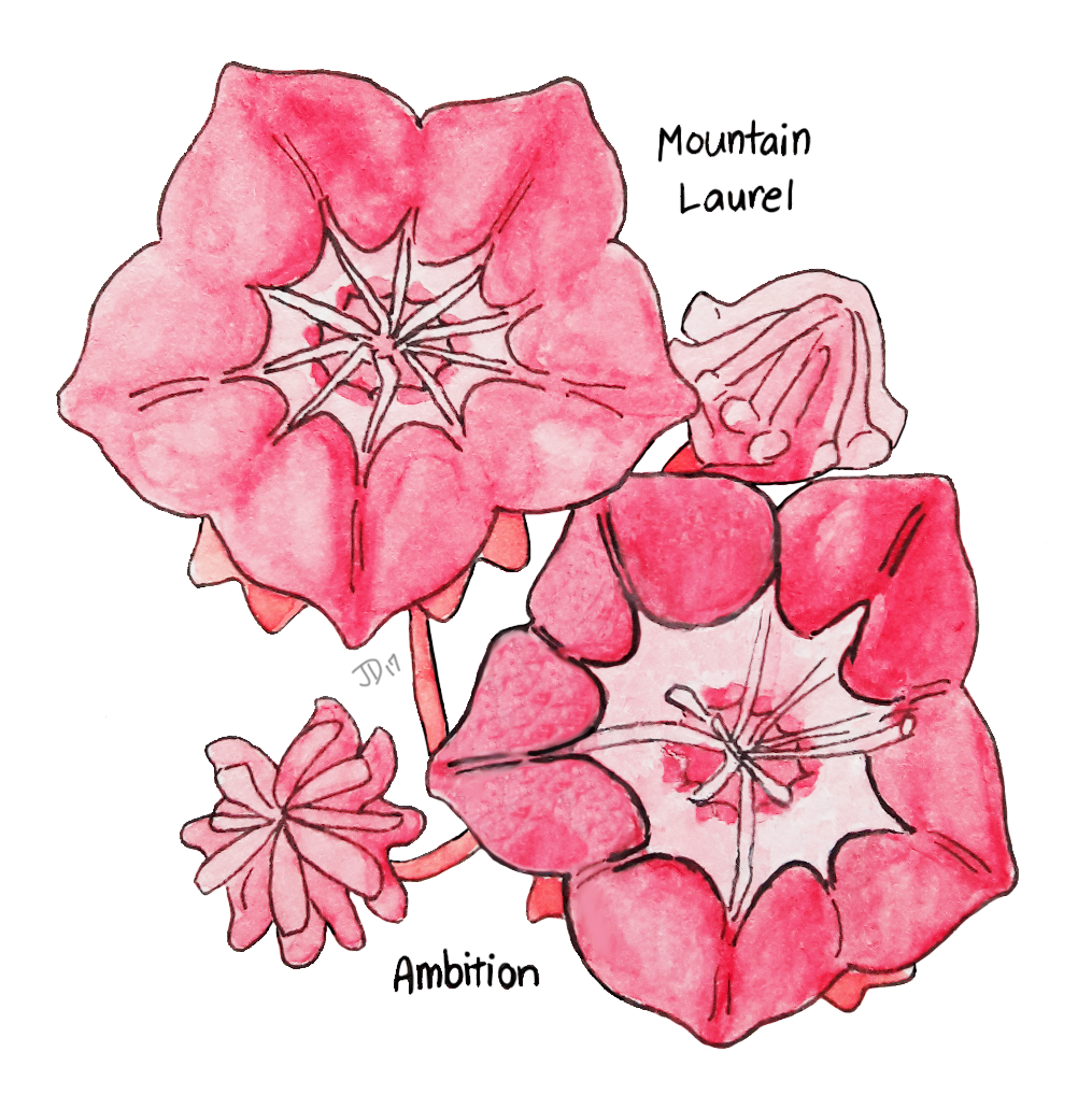My Art Me Emotions Victorian Flower Language Flowers - Clematis (1152x1300), Png Download