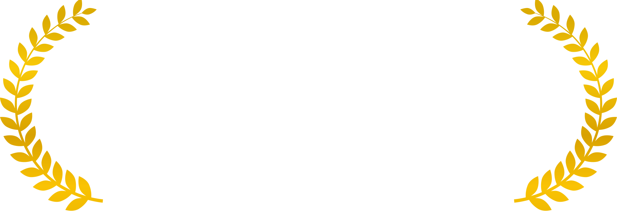 Michael W - King - Filmmaker - Producer Director And - Crazy Cat Lady Yard Sign (2000x684), Png Download