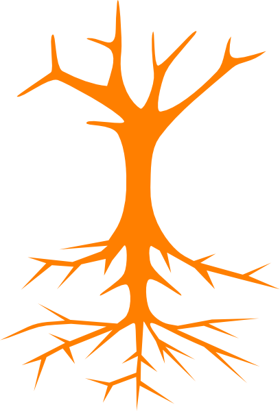 Root Clip Art - Parts Of A Tree Poster (408x600), Png Download