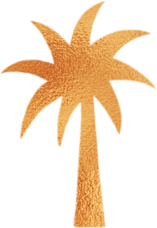 Palmtree - Illustration (1000x1000), Png Download