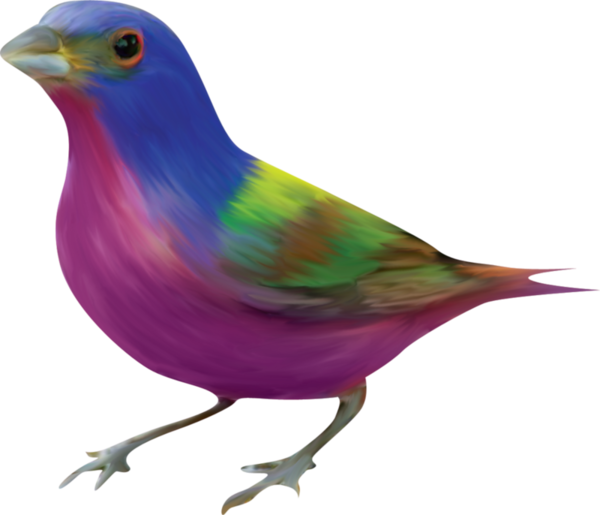 Oiseaux,birds,png - Painted Bunting (600x515), Png Download