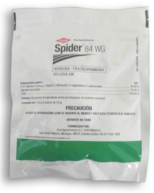 Spider - Bag (650x850), Png Download