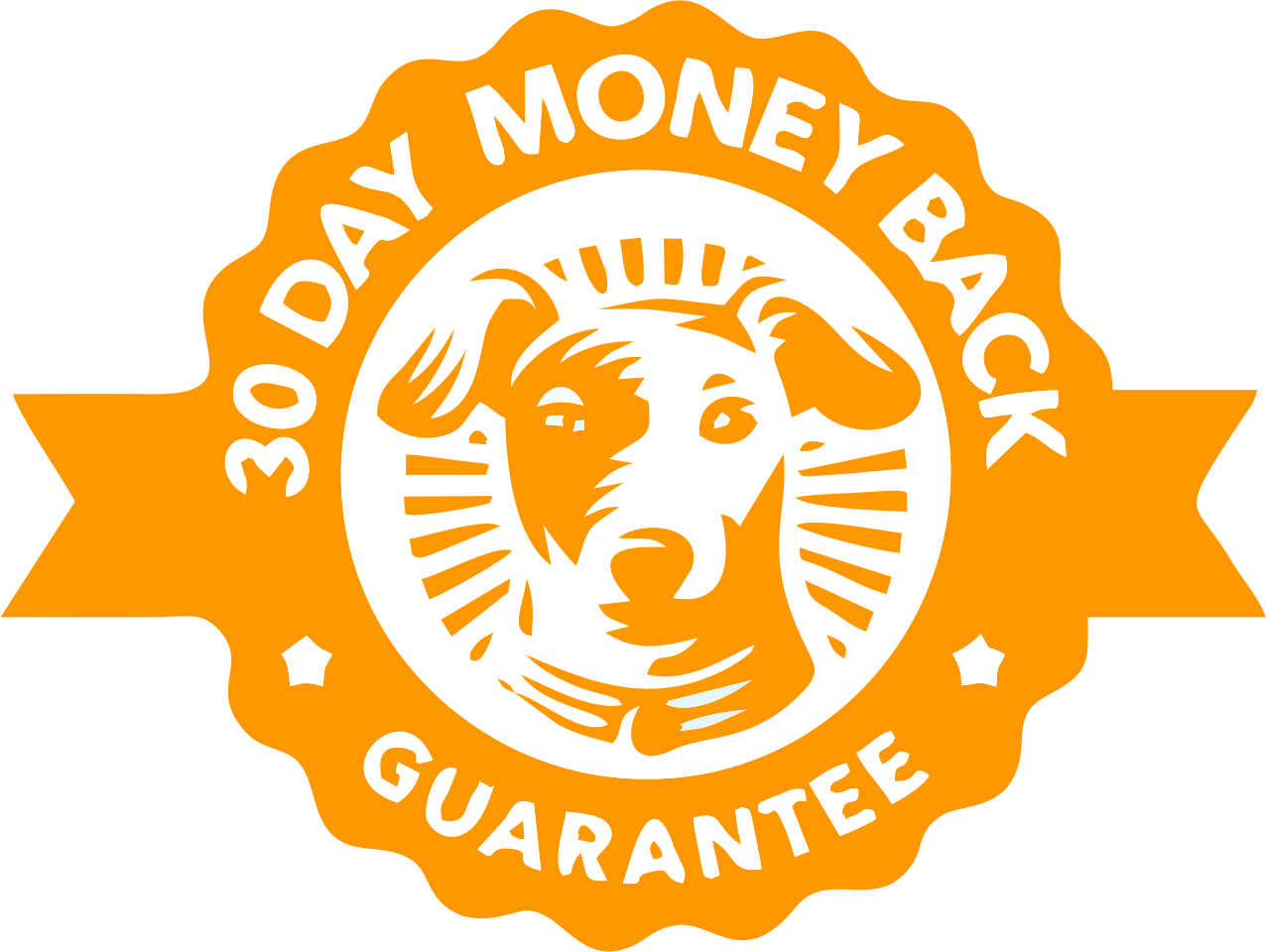 30 Days Money Back Guarantee - 100 Money Back Guarantee (1276x960), Png Download