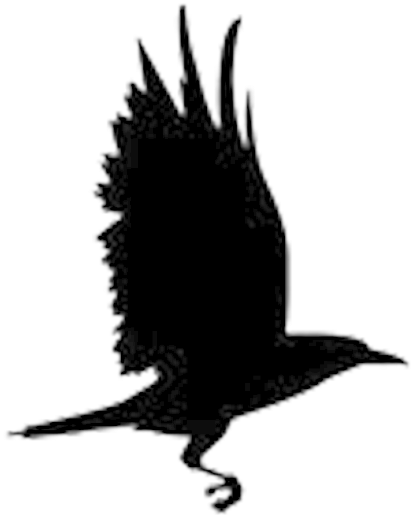992 X 1026 9 - Raven New Hope Logo (992x1026), Png Download