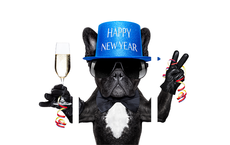 No Frame,no Stretch - Happy New Year Weird (1000x667), Png Download