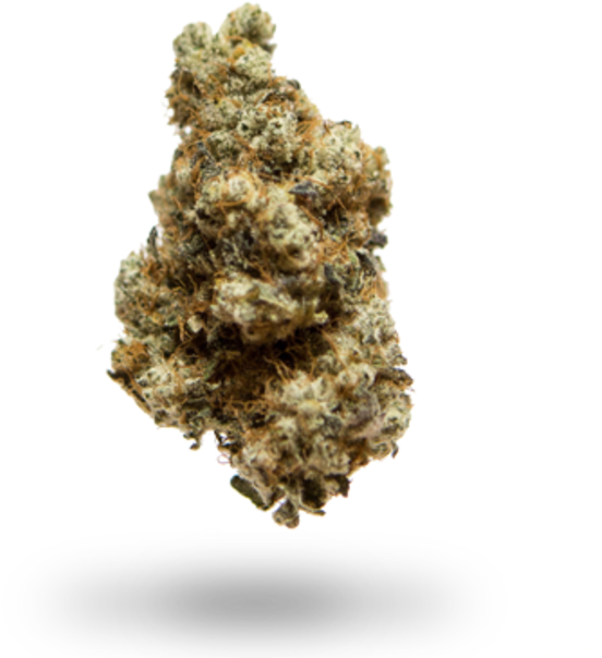 Thurman Street Collective - Arizona Cypress (635x635), Png Download