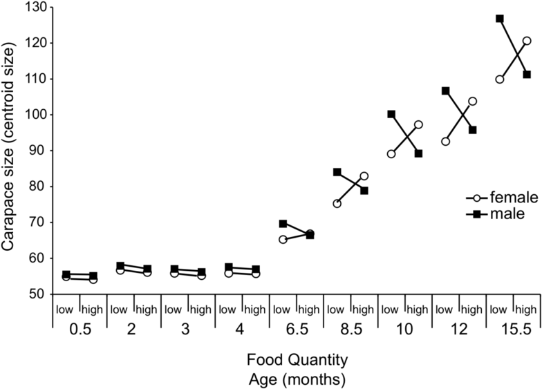 Ontogeny Of The Response Of Carapace Size Of Chelydra - Diagram (850x646), Png Download