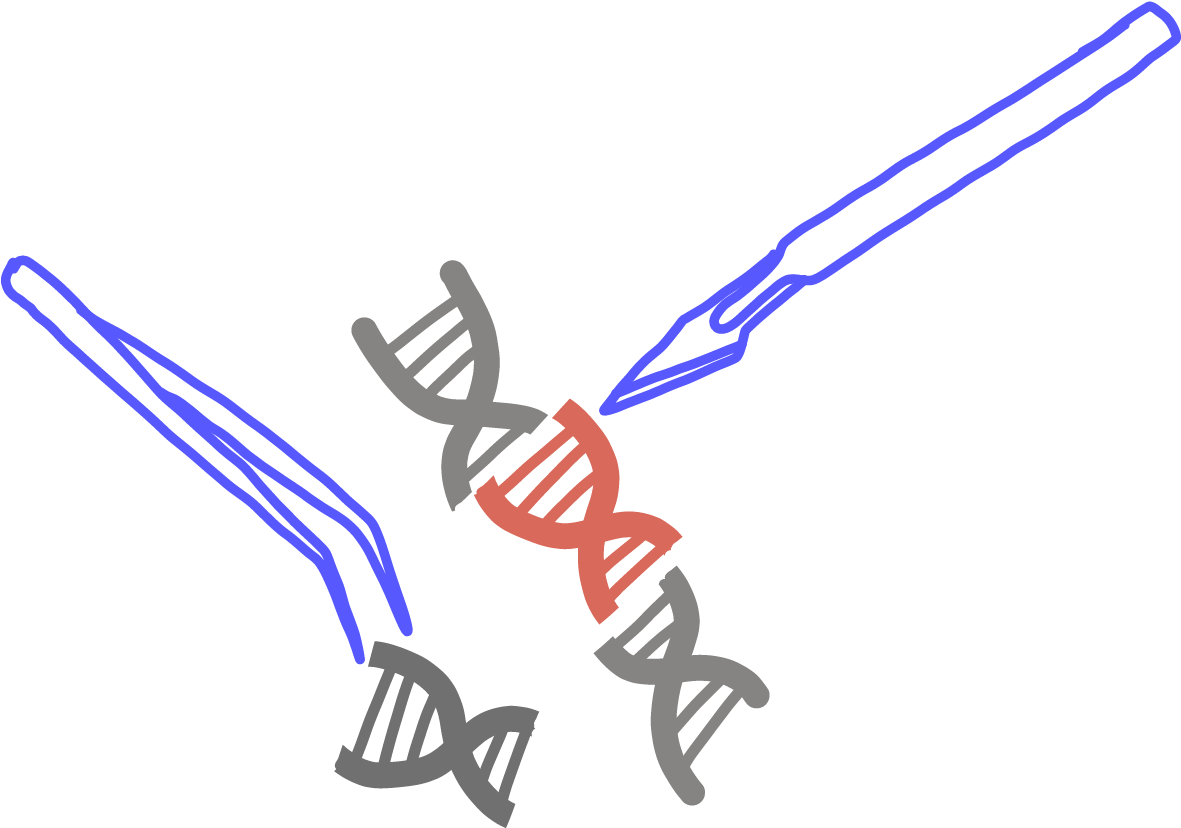 Genome Surgery (1200x838), Png Download
