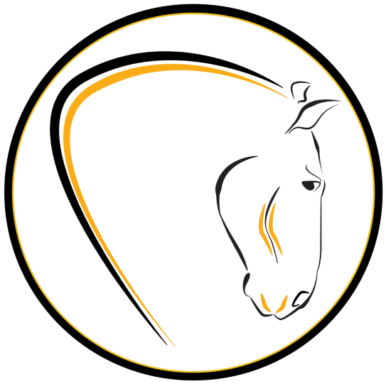 Matthew Moister Horse Dentist - Venom Welcome To Hell (574x574), Png Download