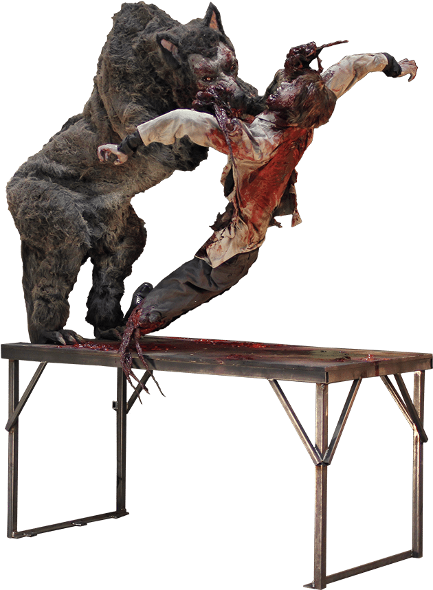 Super Sized Wolf - Wolf On Table (1000x1000), Png Download