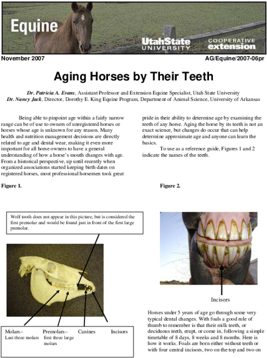 Pdf - Utah State University (600x776), Png Download