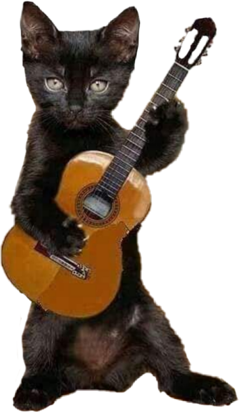 Flamenco Cat (480x827), Png Download