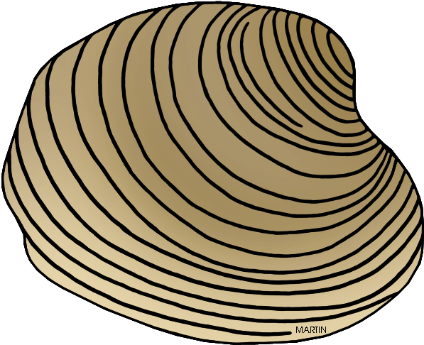 Shell Clipart Phillip Martin (648x533), Png Download