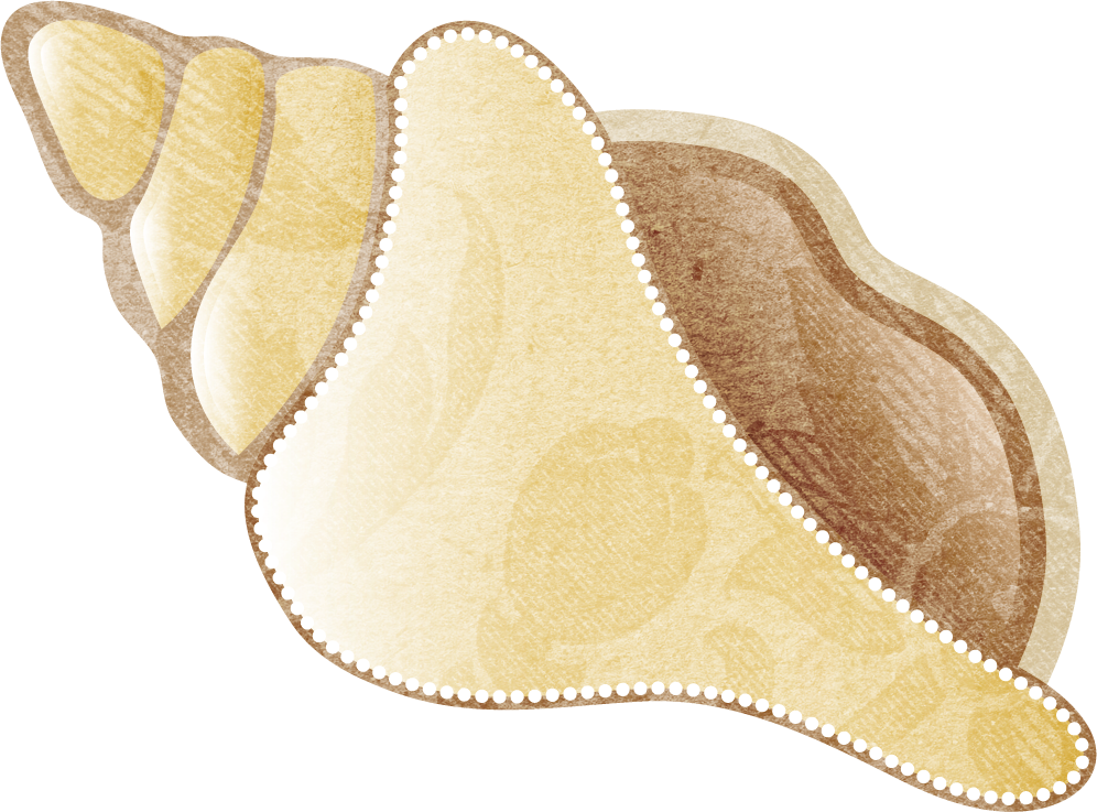 Фотки Under The Sea Party, Beach Clipart, Starfish, - Art (996x737), Png Download