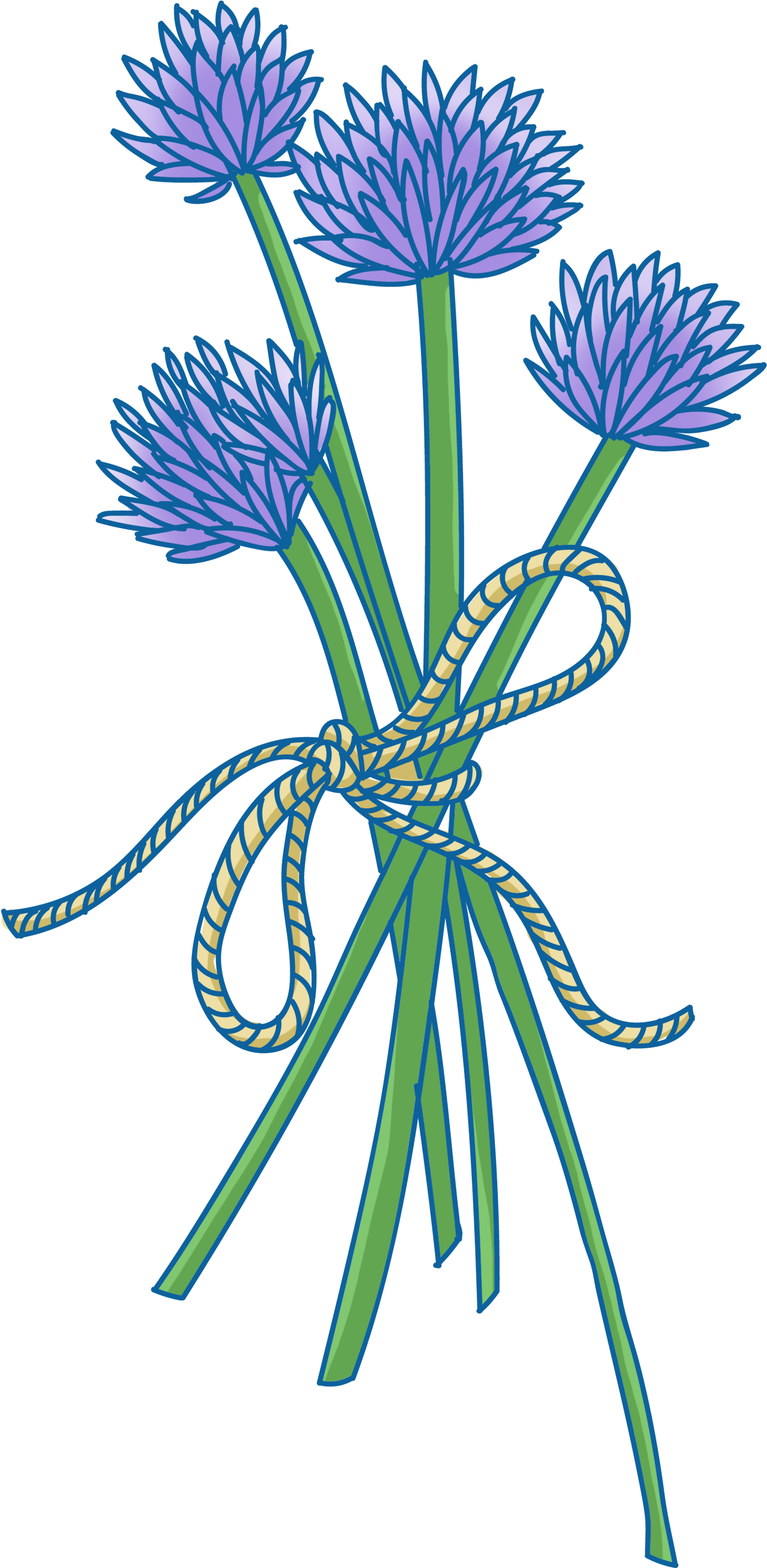 Pétalos Cuerda Flores Verde Png Y Psd - Illustration (3000x3000), Png Download