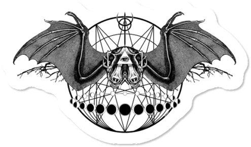 Occult Bat - Skull (650x650), Png Download
