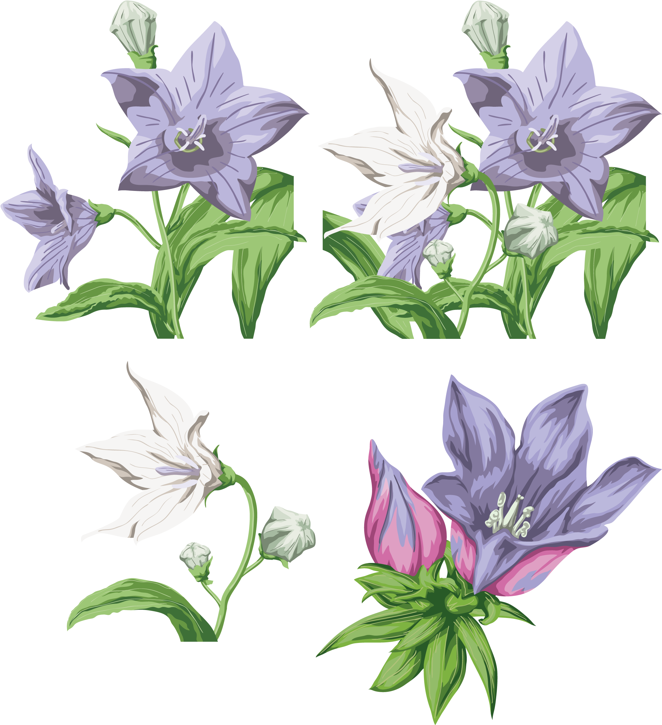 Clip Art (2289x2499), Png Download