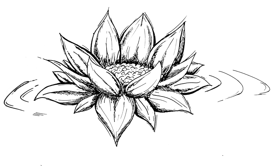 La Costa Quebrada Y En La Playa De La Arnía Continuamos - Чб Цветы Эскизы (1000x667), Png Download