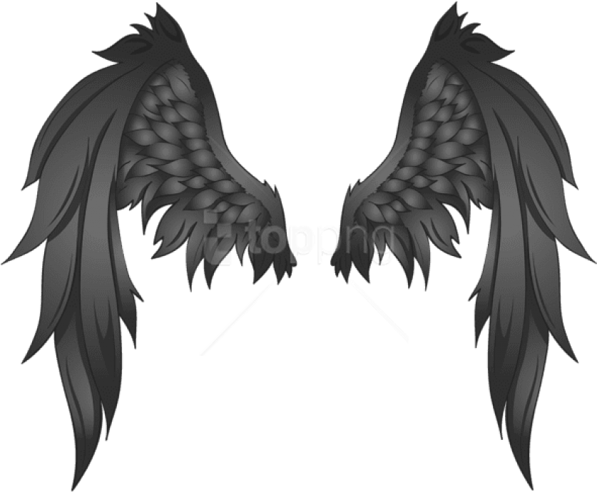 Free Png Download Black Wings Clipart Png Photo Png - Black Angel Wings Transparent Behind (850x699), Png Download