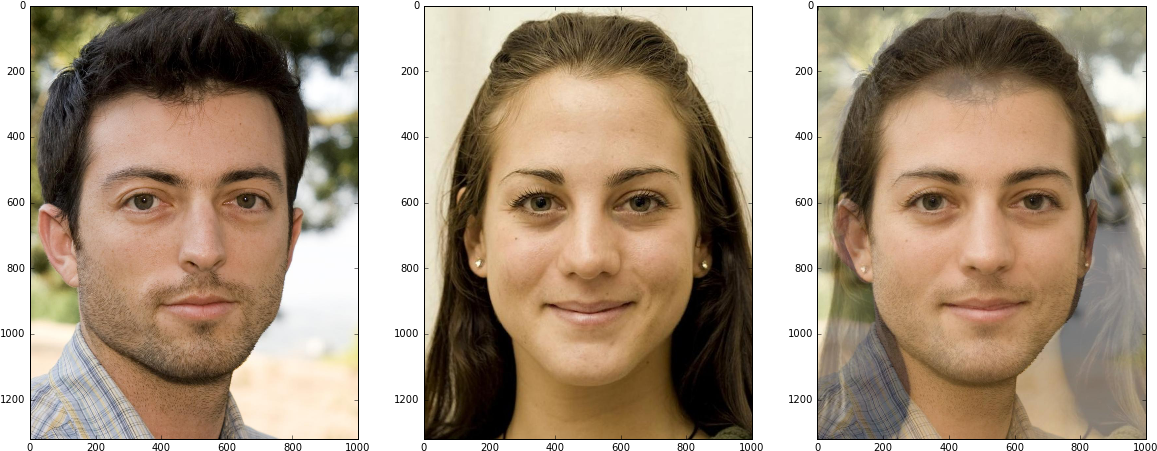 By Matching Correspondences Of Two Faces And Triangulating - Collage (1172x466), Png Download