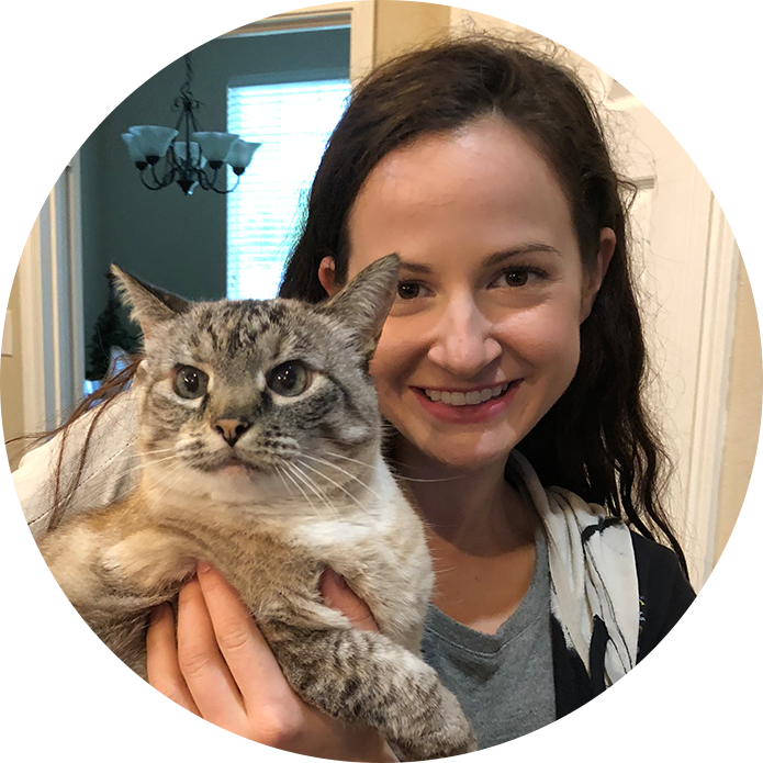Brooklyncatsitting Circles 0005 Alexa-l 2 - Domestic Short-haired Cat (695x695), Png Download