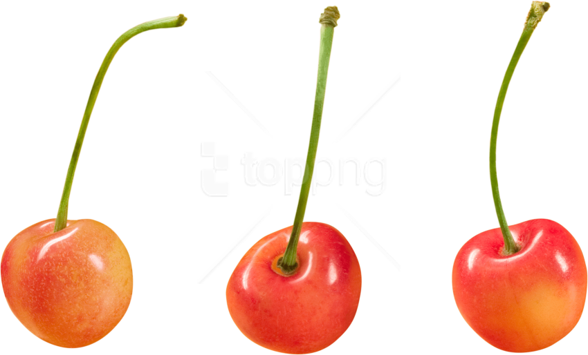 Free Png Download Cherry Clipart Png Photo Png Images - Png Free For Commercial Use (850x514), Png Download